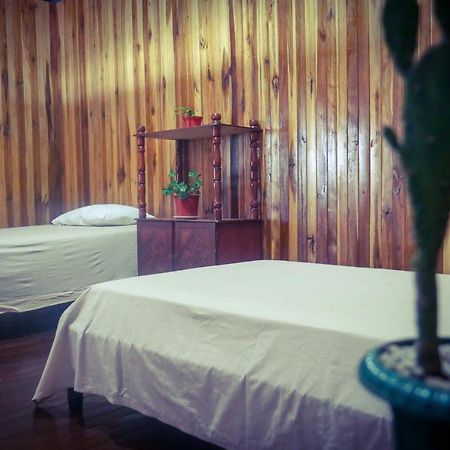 Monte Los Lirios Lodge Monteverde Kültér fotó