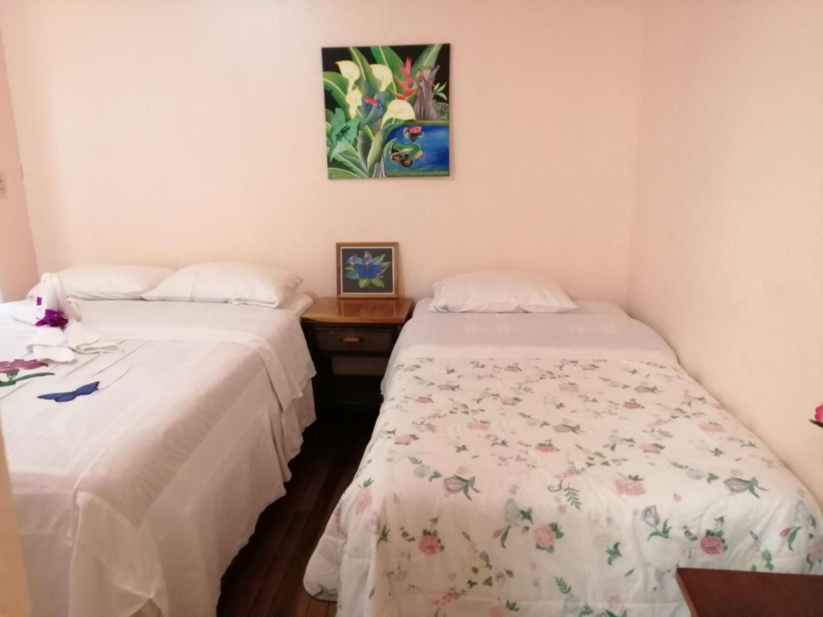 Monte Los Lirios Lodge Monteverde Kültér fotó