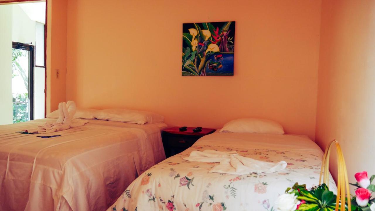 Monte Los Lirios Lodge Monteverde Kültér fotó